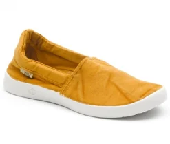 Old Volpe